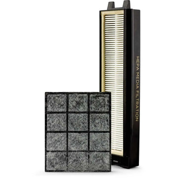 Riccar R25P HEPA and Granulated Charcoal Filter Set