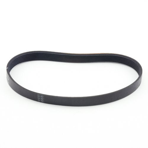 Simplicity Freedom Lifetime Belt B014-1200 Poly V