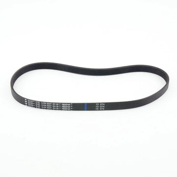 Simplicity Symmetry S20P Lifetime Belt B014-1300