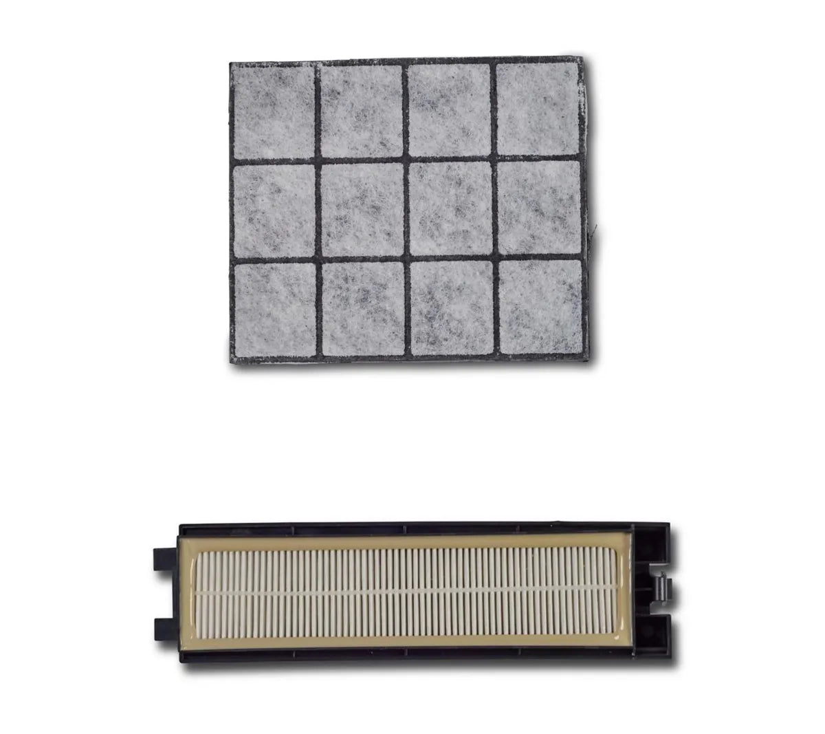 Riccar Pleated HEPA Granulated Charcoal R27P